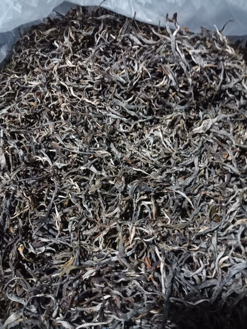 普洱茶（刮风寨古树茶）
