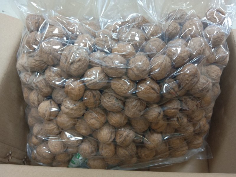 新疆野生红衣礼品核桃