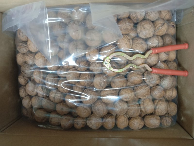 新疆野生红衣礼品核桃
