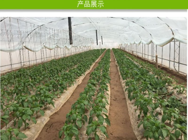 大棚无滴膜宽1一20米蔬菜水果花卉专用