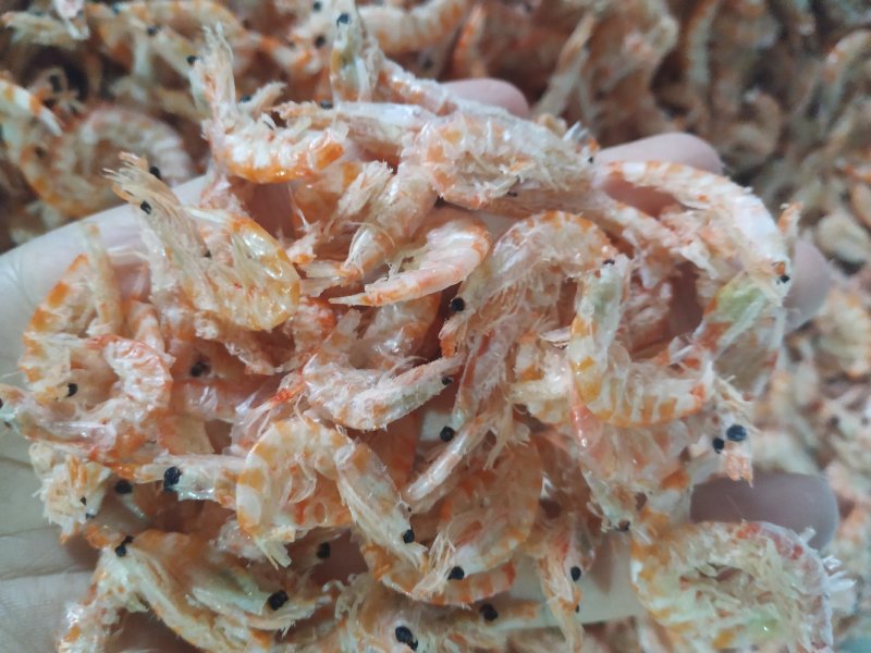 南极磷虾淡干无盐超大虾皮海鲜干货红虾米网红大虾皮