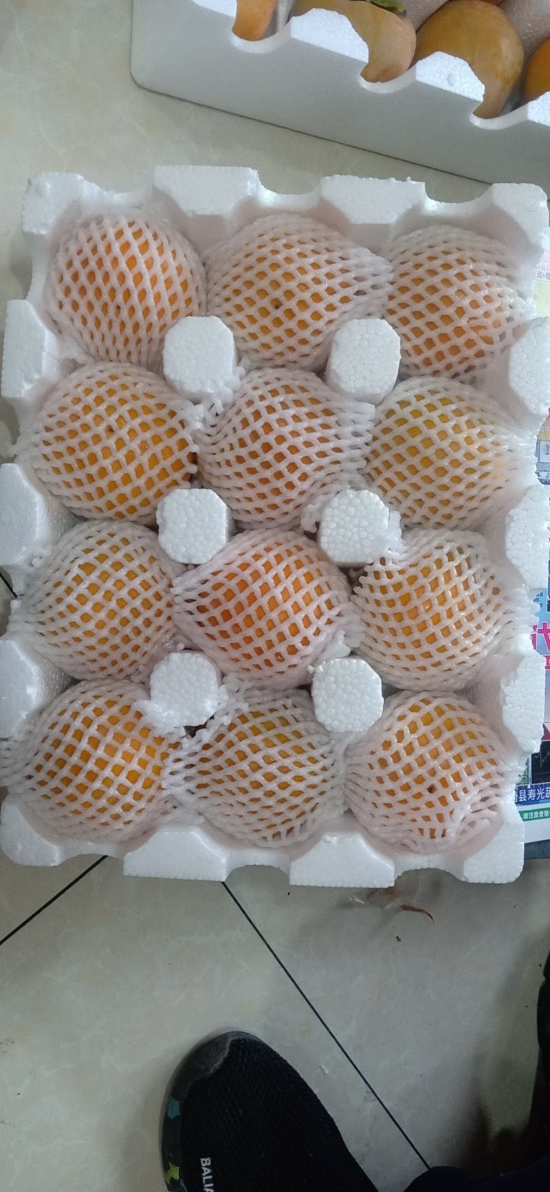 阳丰甜柿