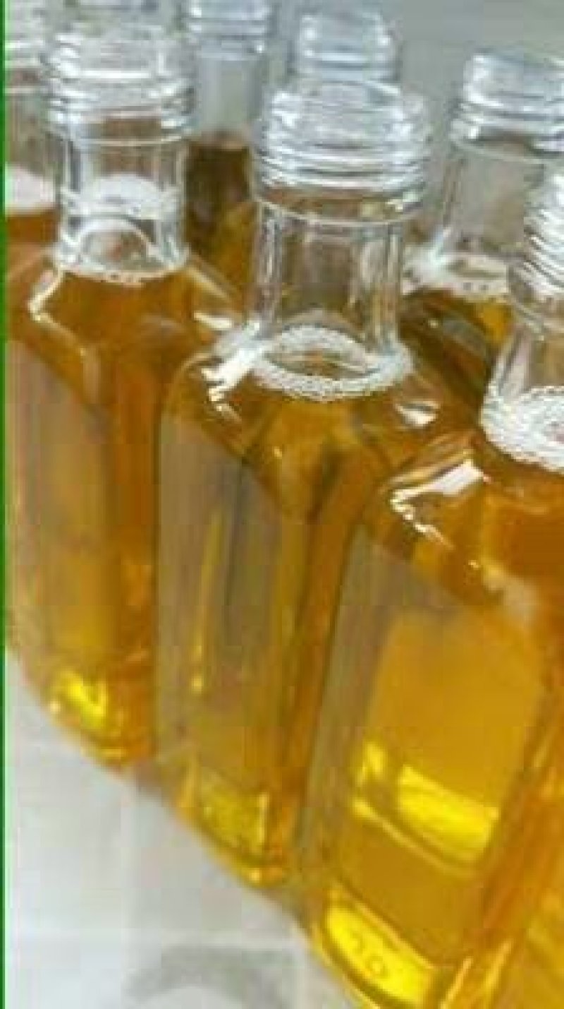 榨油机家用款榨油机家用款一件代发厂家直销
