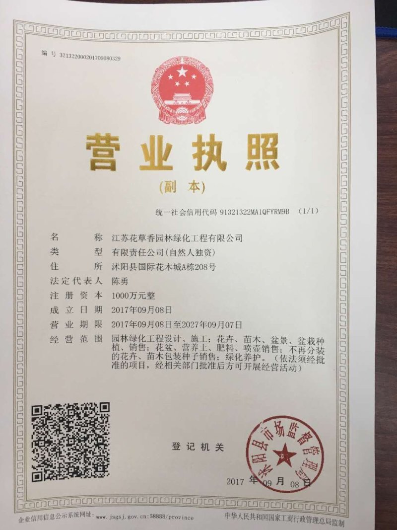 新型皇竹草种孑黄竹草种台湾甜象草种养殖四季畜牧草籽高产杂