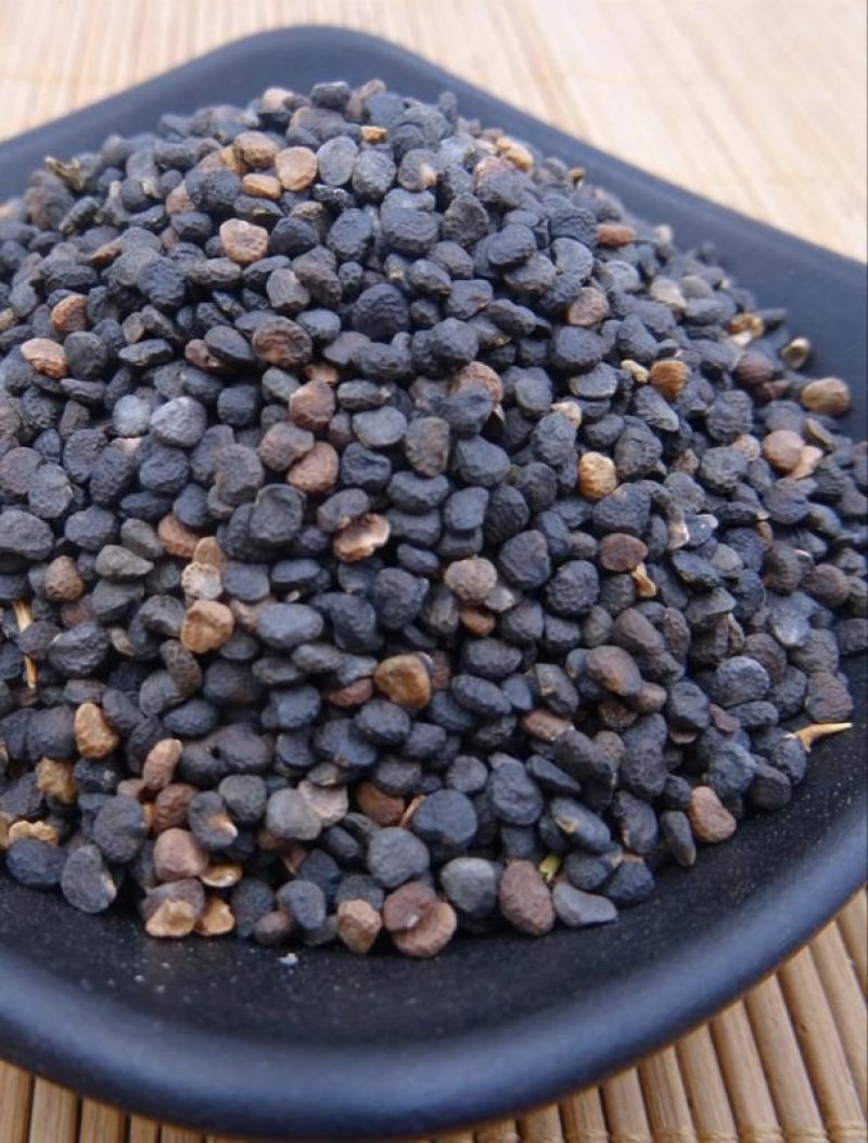 曼陀罗子，产地河北，质优价实，品质保证，药典标准道地良药