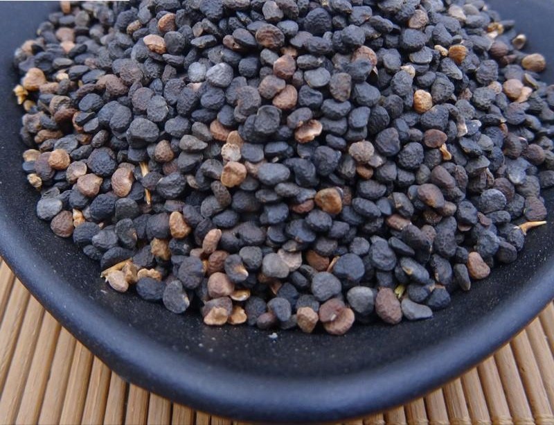 曼陀罗子，产地河北，质优价实，品质保证，药典标准道地良药