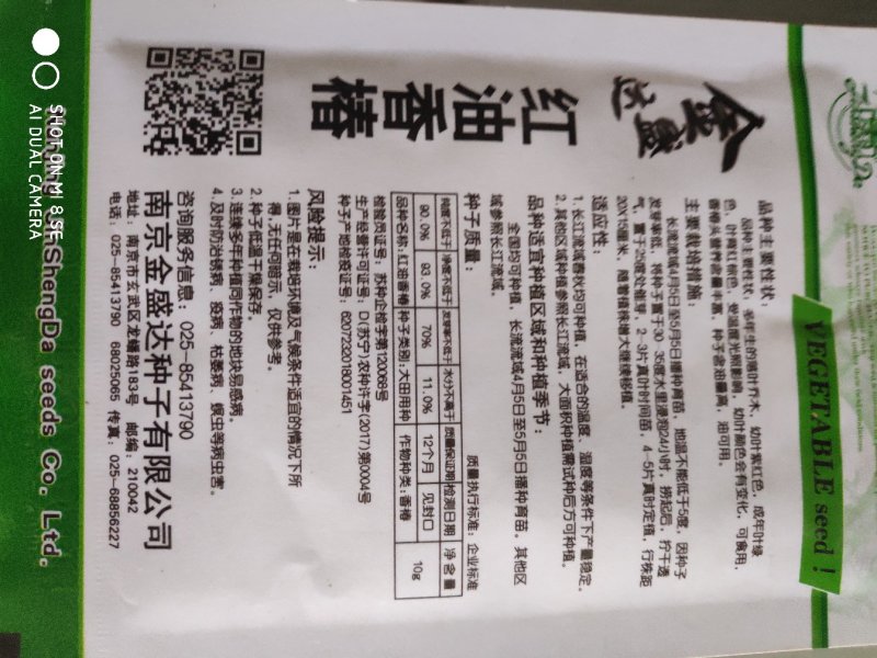 金盛达红油香椿种子香椿头营养含量丰富