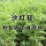 沙打旺种子多年生牧草四季绿肥防沙固土护坡耐寒耐旱