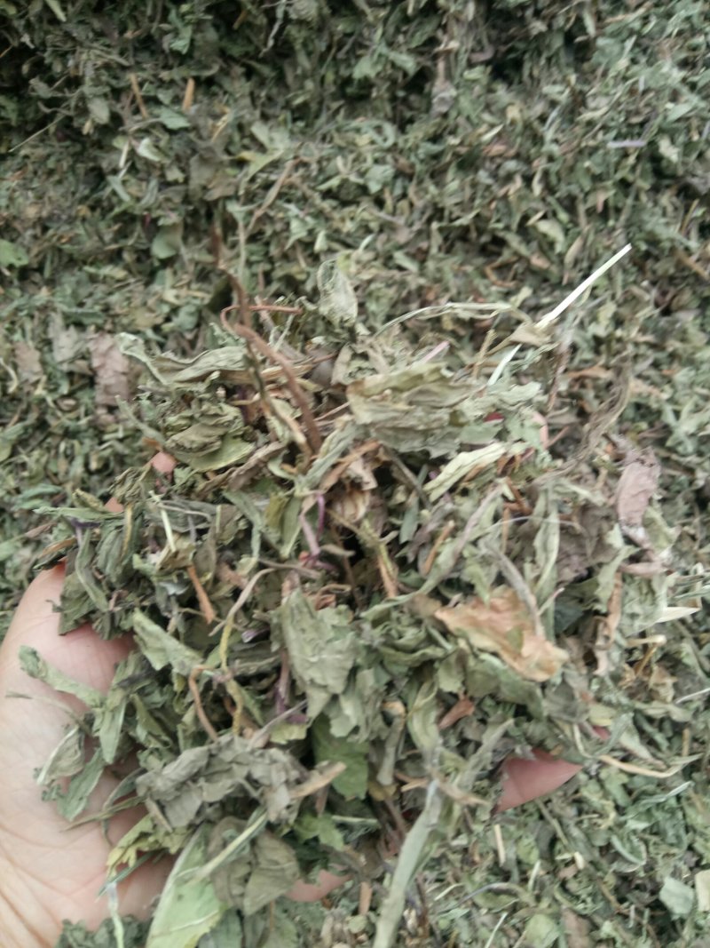 蒲公英可搭配多品种采购大货联系客服