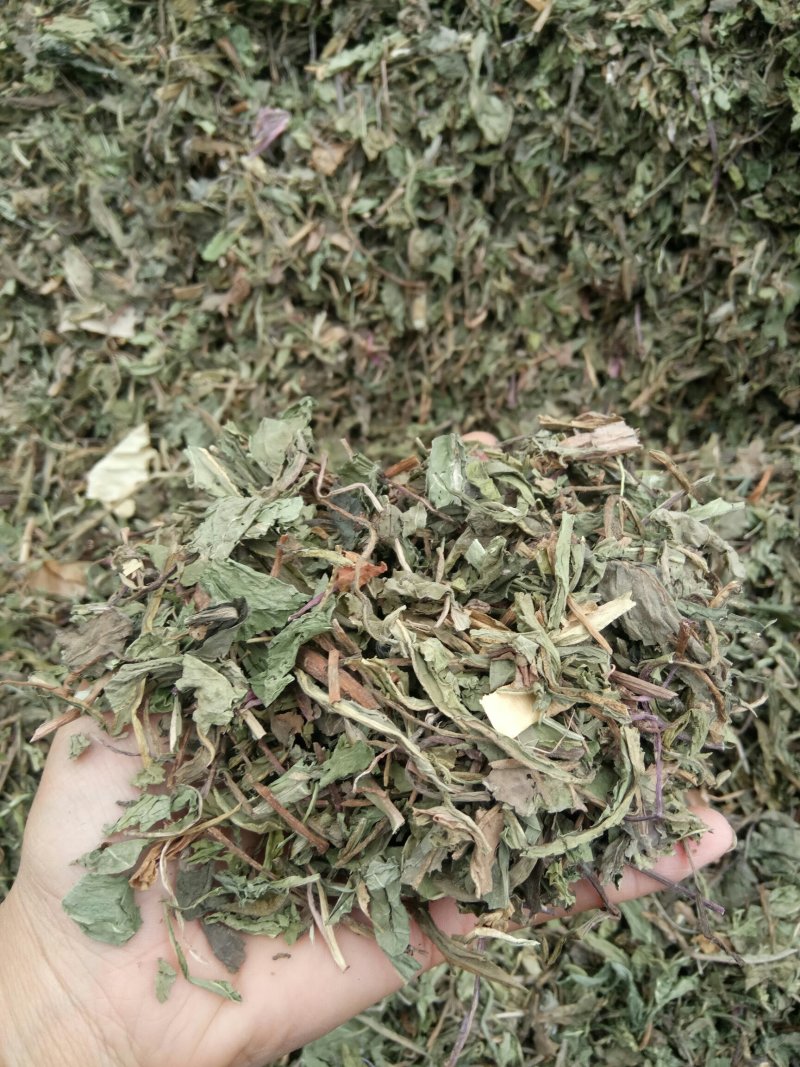 蒲公英可搭配多品种采购大货联系客服