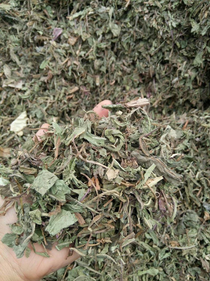 蒲公英可搭配多品种采购大货联系客服