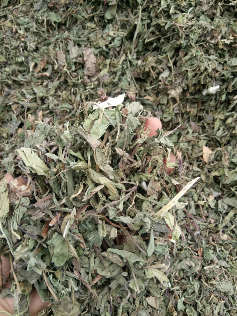 蒲公英可搭配多品种采购大货联系客服