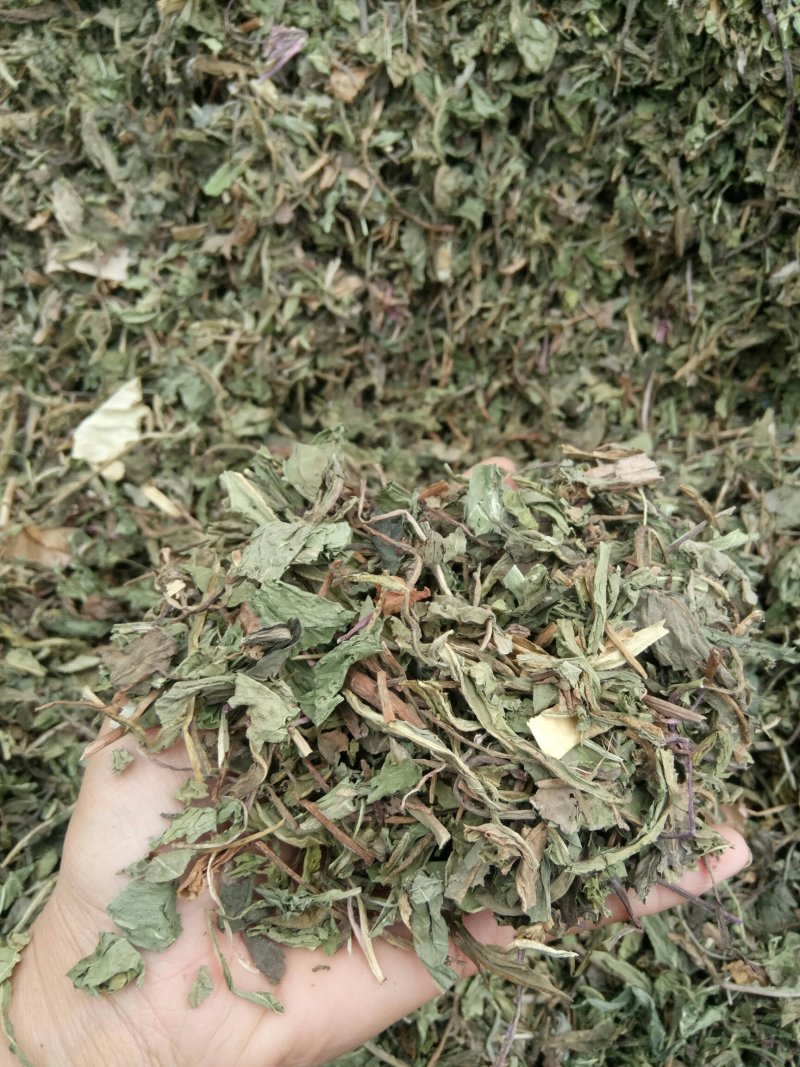 蒲公英可搭配多品种采购大货联系客服