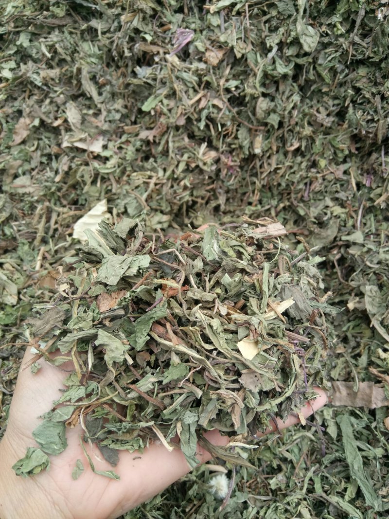 蒲公英可搭配多品种采购大货联系客服