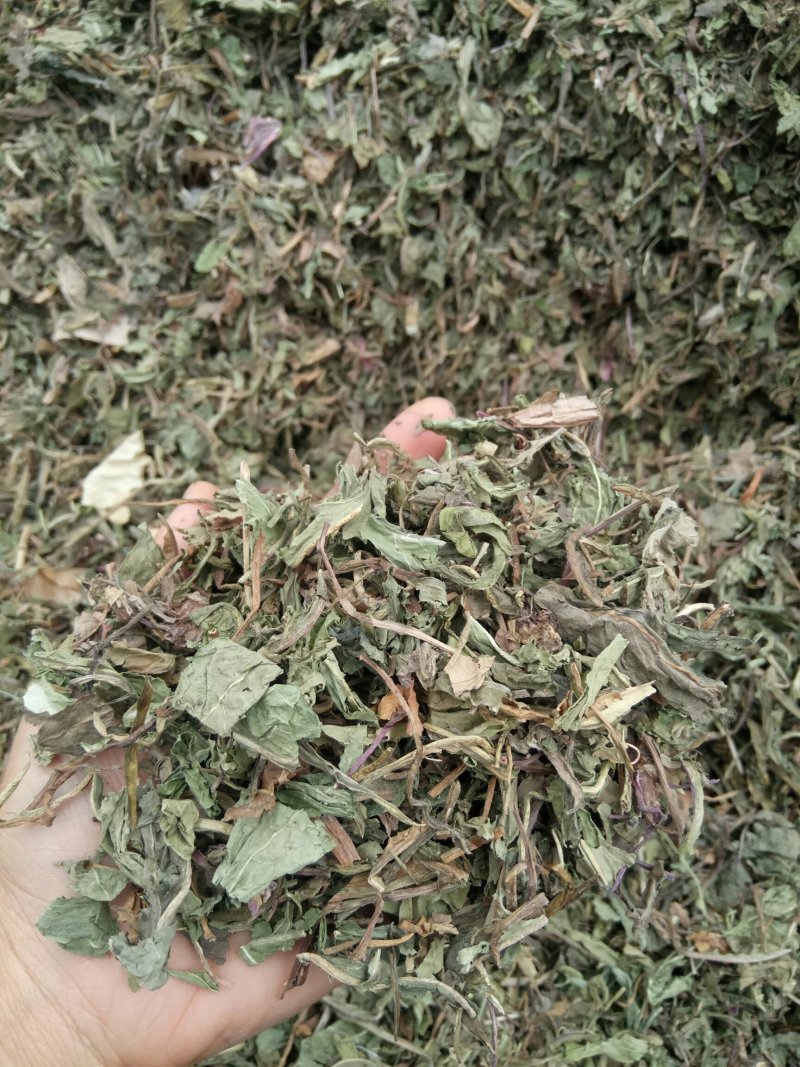 蒲公英可搭配多品种采购大货联系客服