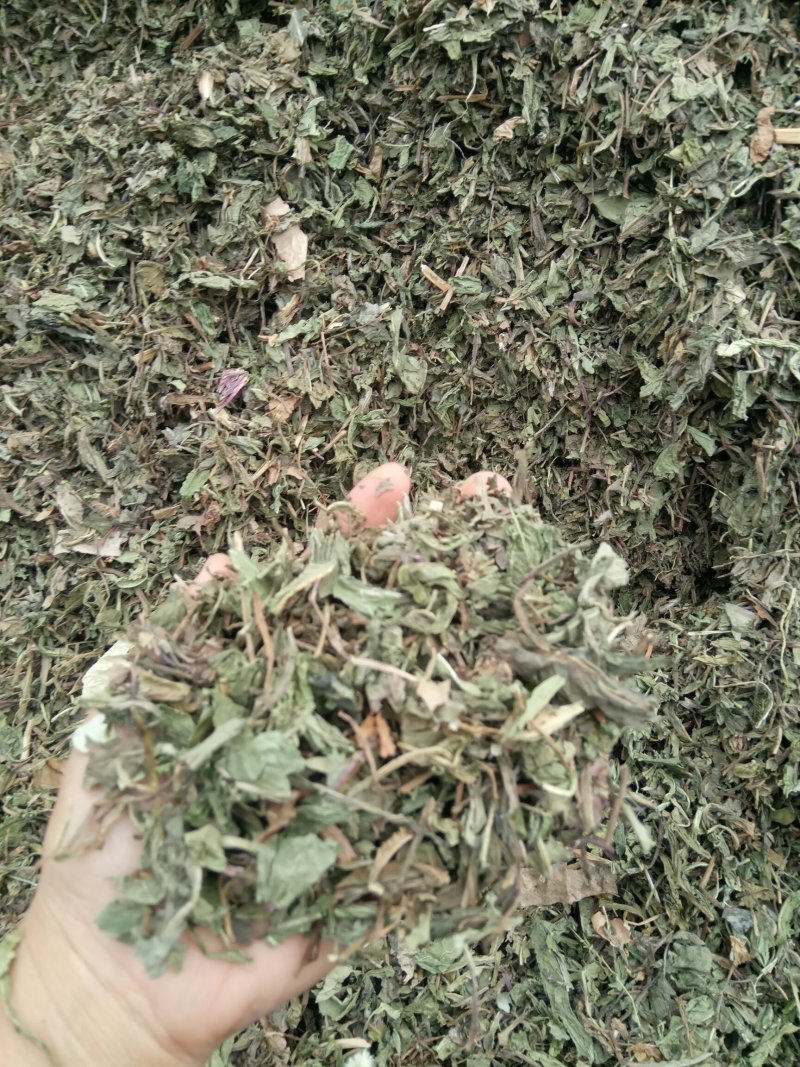 蒲公英可搭配多品种采购大货联系客服
