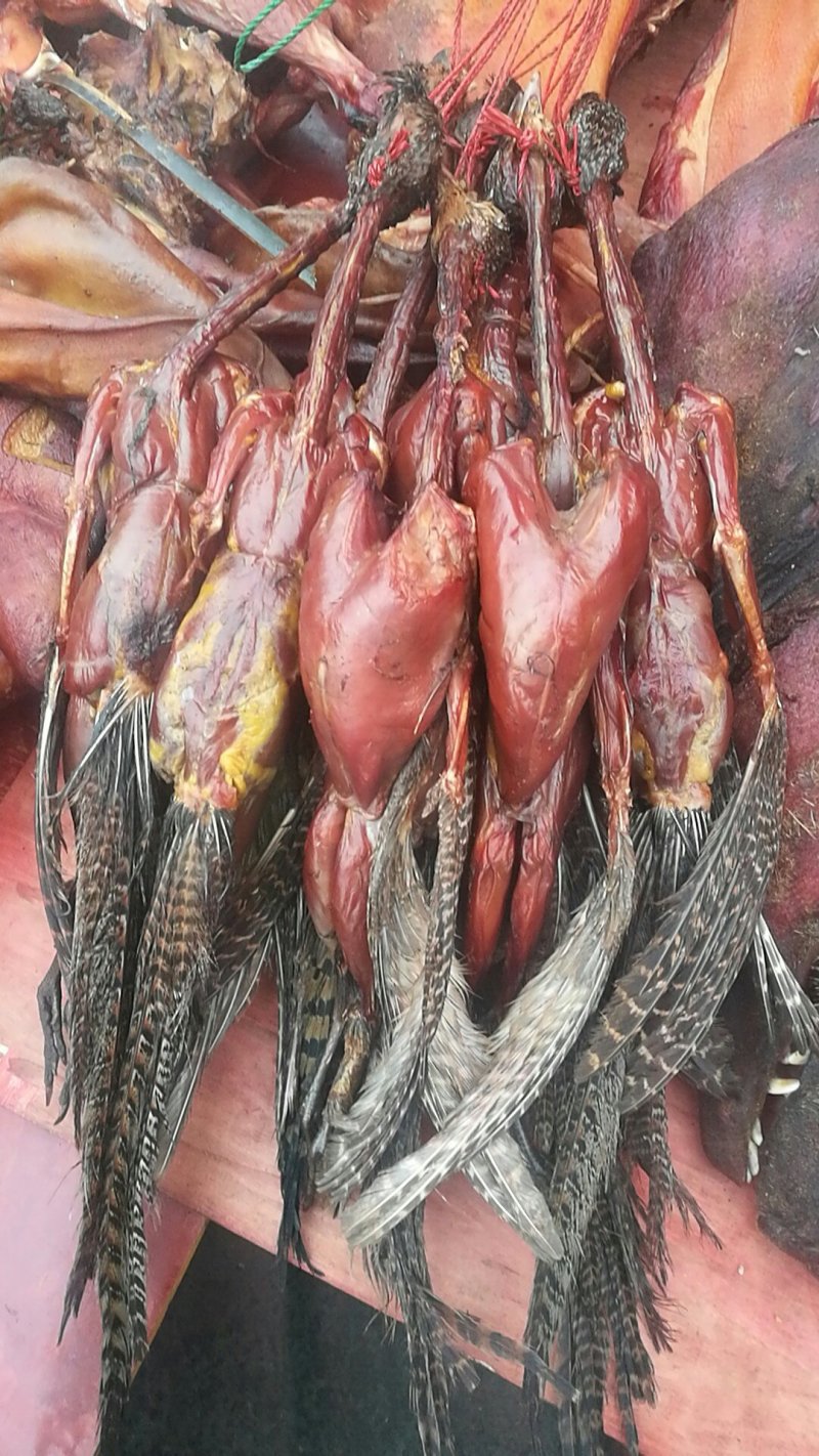 汶川腊肉腊肠大量批发价格漂亮，真正的土猪肉