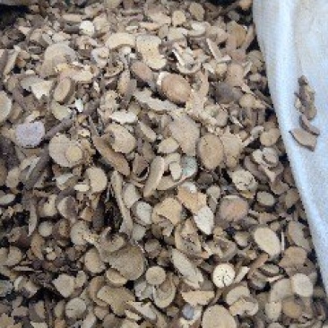 乌药1公斤起批不包邮电议