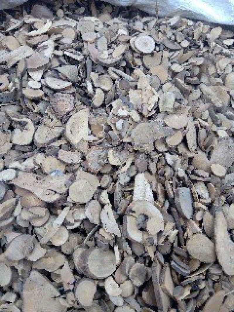 乌药1公斤起批不包邮电议