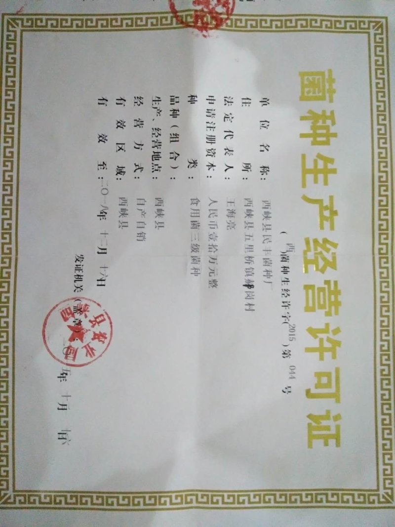 【热销】六妹七妹优质羊肚菌菌种（栽培种）欢迎电联