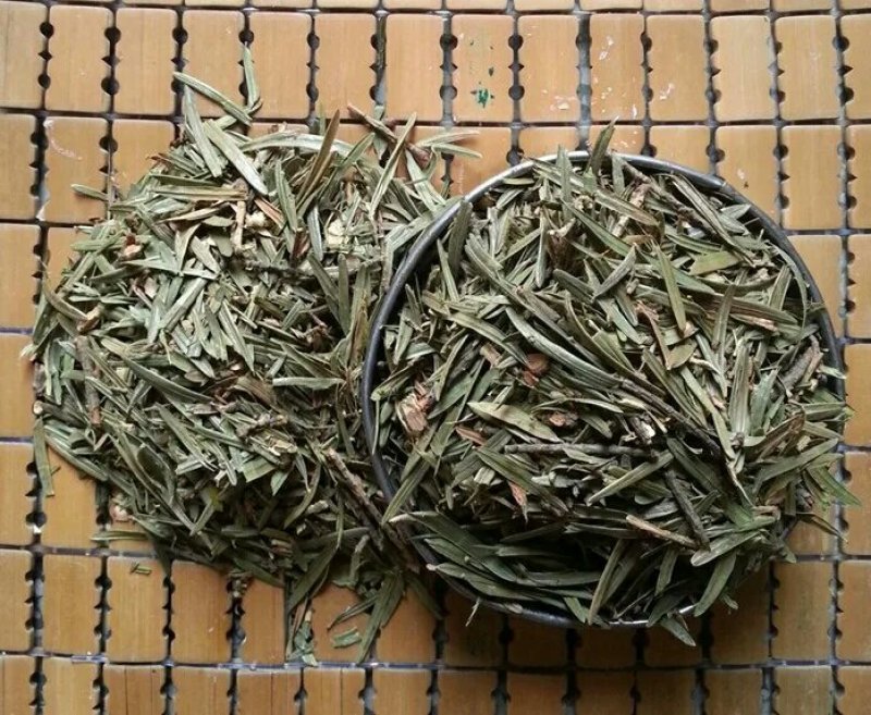 红豆杉产地直供支持线上交易可搭配多品种采购大货联系