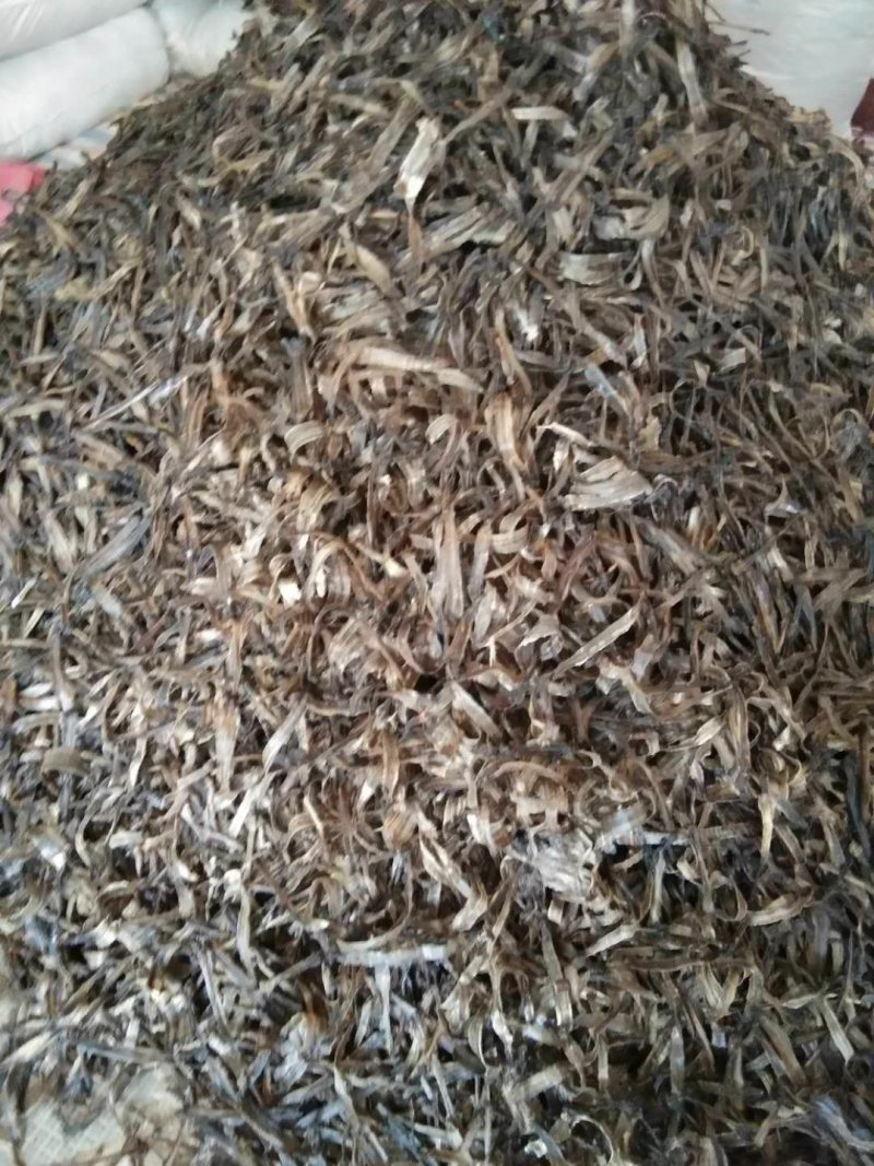 地龙干