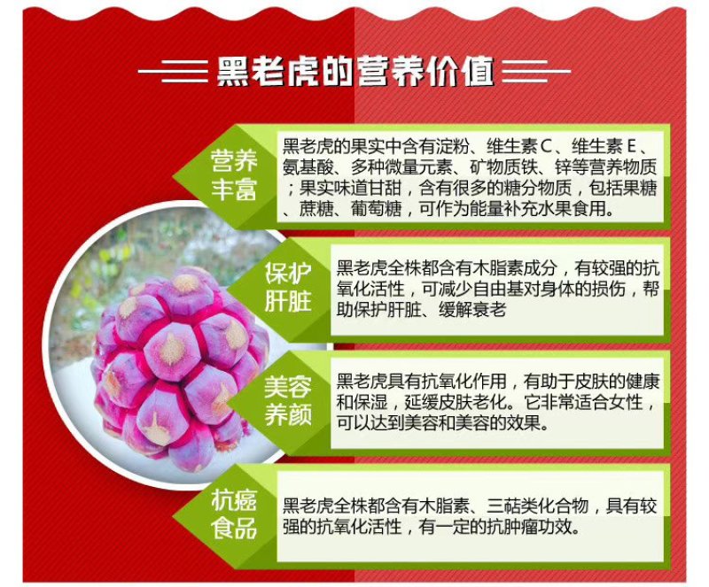 黑老虎（5斤包邮）除偏远地区