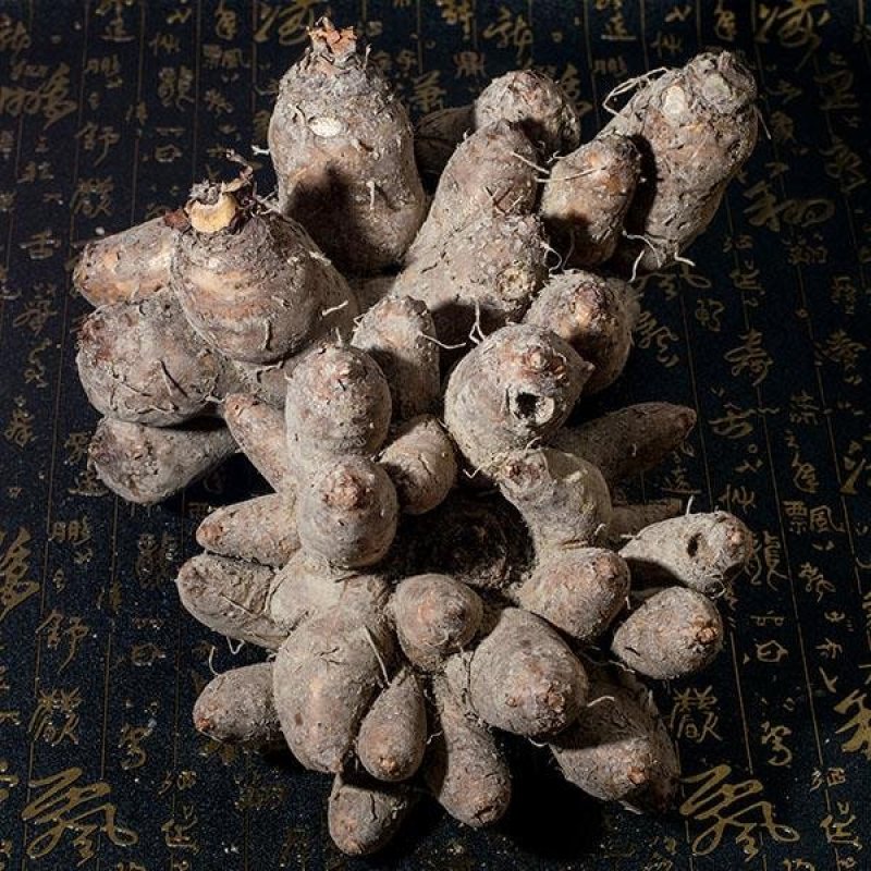 鸡爪芋，产地直供，质优价实，品质保证，药典标准道地良药