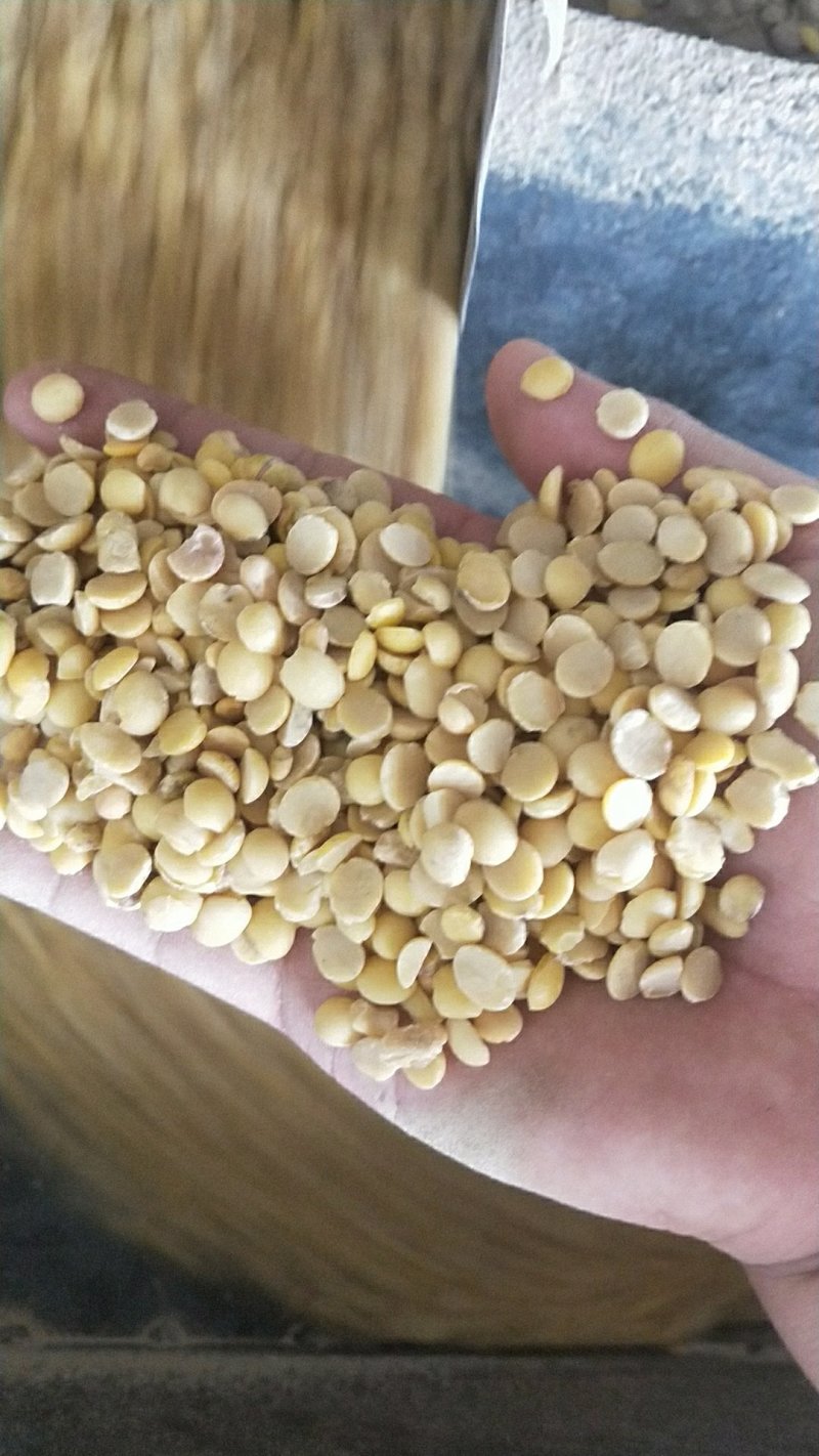 豆瓣