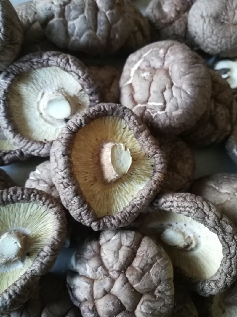【选购】干香菇承德发货新货无渣形状圆色泽好