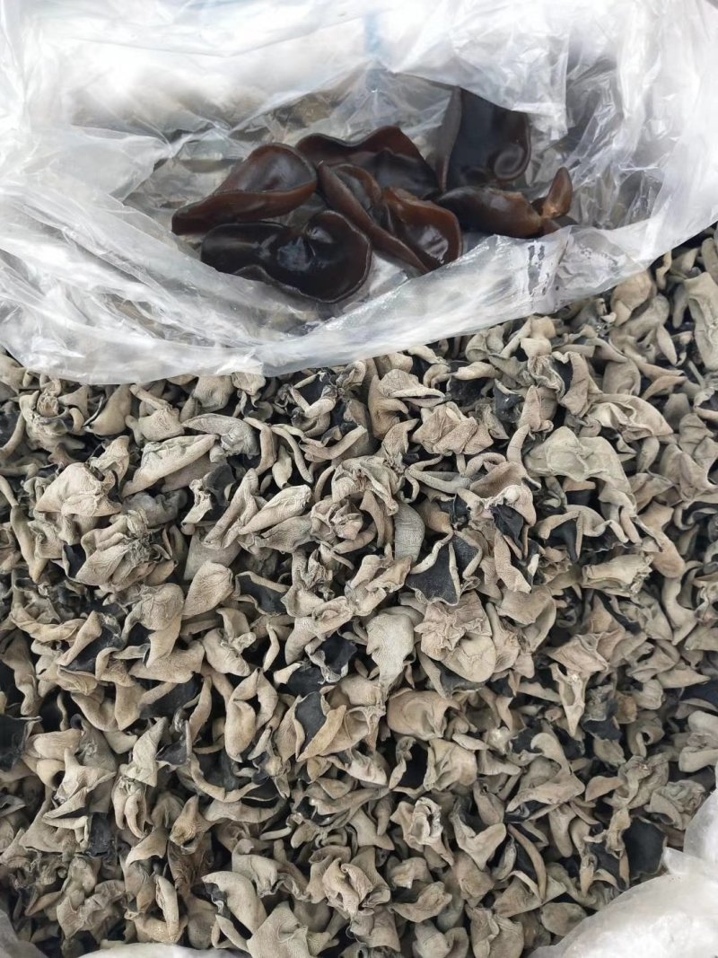 （包邮）东北黑木耳，特级，无味，敢比质量，可送广告布。