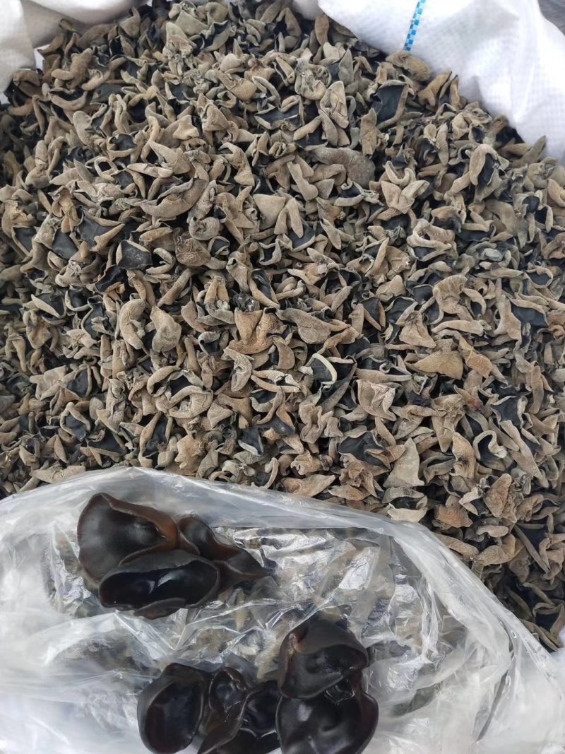 （包邮）东北黑木耳，特级，无味，敢比质量，可送广告布。