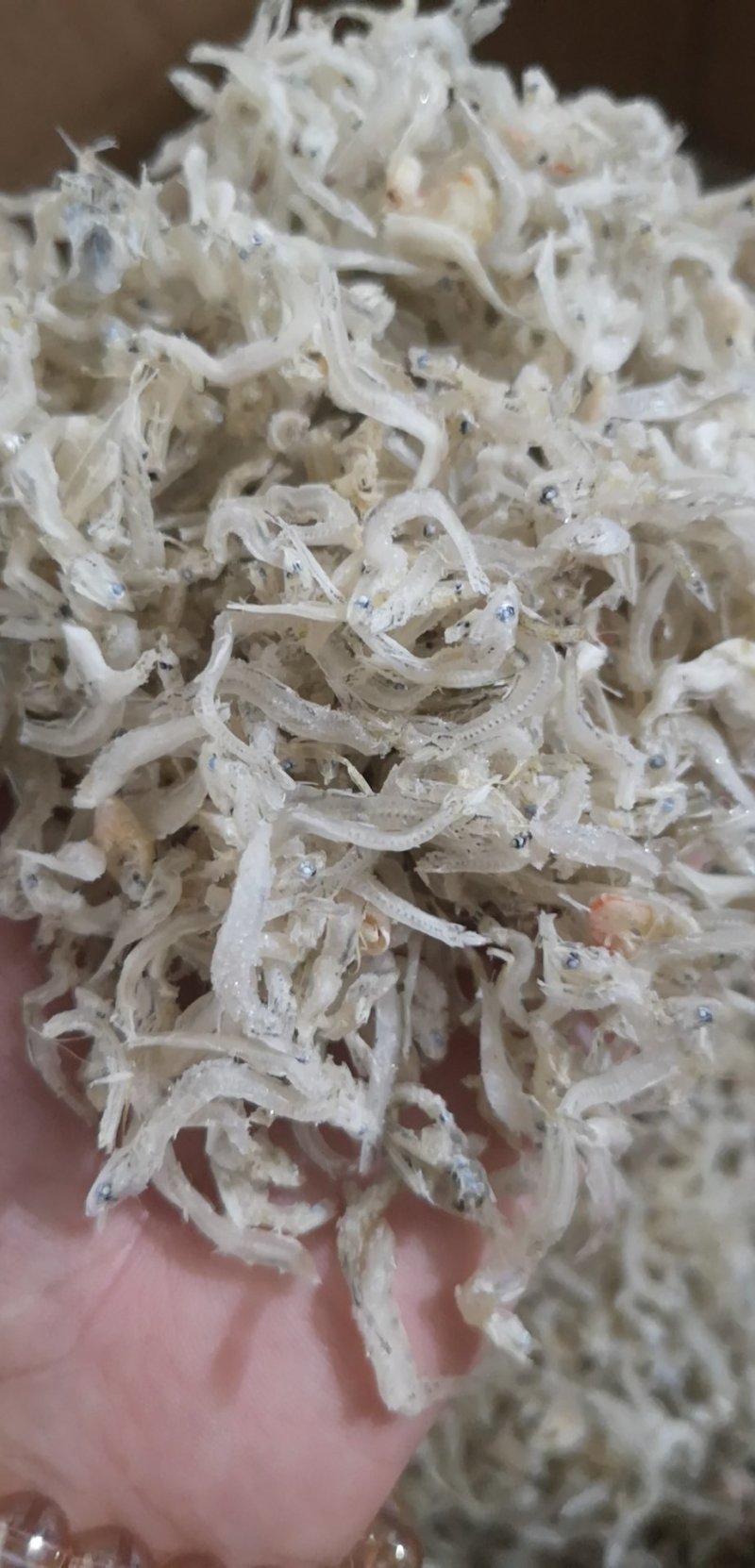 丁香鱼无骨无刺淡干鲜甜的宝宝辅食不包邮
