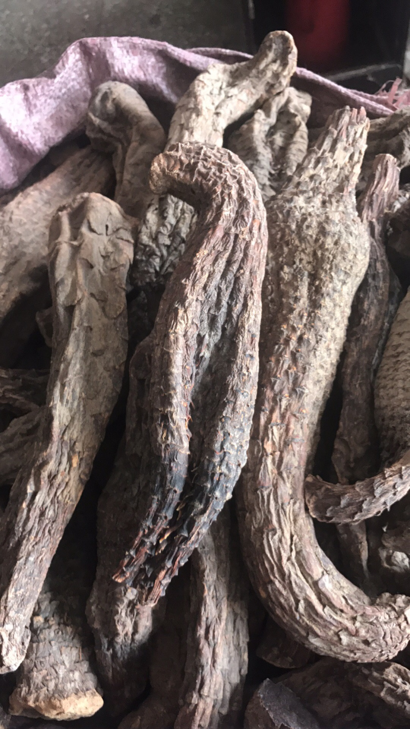 【强推】管花肉苁蓉批发，可视频看货，量大从优，上市中