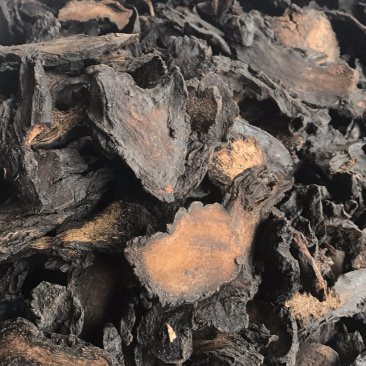 新疆管花肉苁蓉熟切片，可视频看货，量大从优