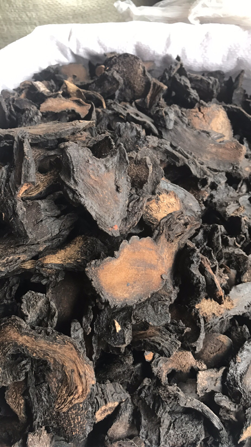 新疆管花肉苁蓉熟切片，可视频看货，量大从优