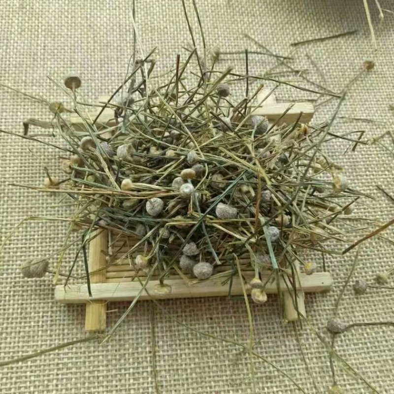 谷精草产地直供支持线上交易可搭配多品种采购大货联系