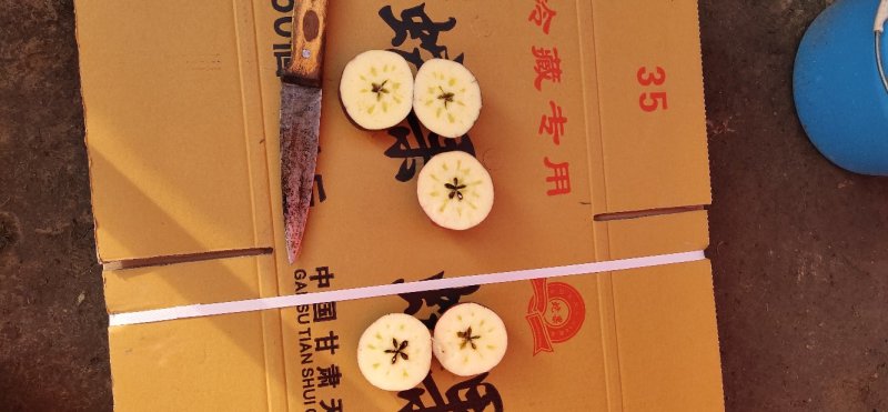 （热销）产地直发:精品高山花牛苹果蛇果规格齐全长期有货！