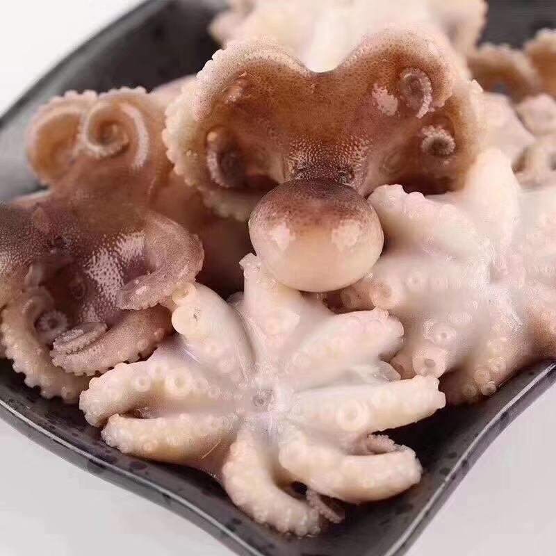 半熟八爪鱼（短腿），现煮现发