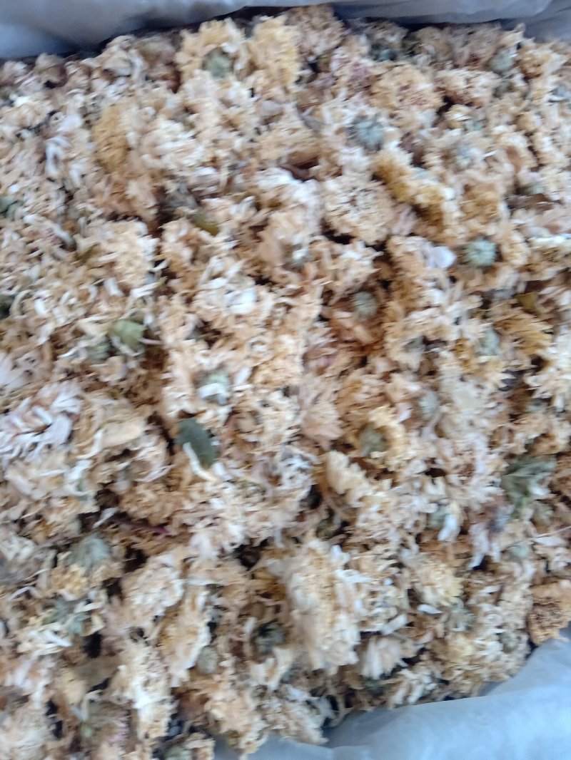 菊花药用1公斤起批不包邮量大电议