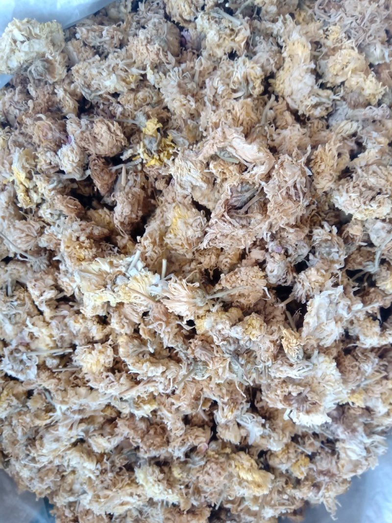 菊花药用1公斤起批不包邮量大电议