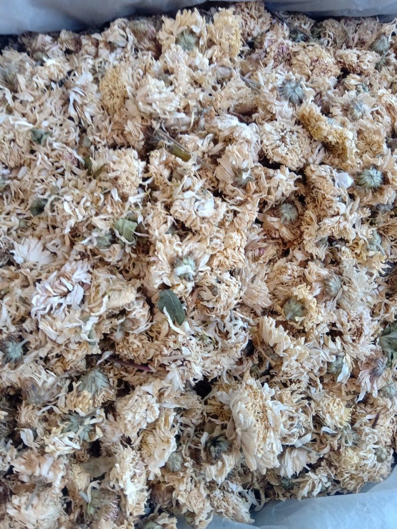 菊花药用1公斤起批不包邮量大电议
