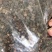 龙葵子葵籽龙葵果野葡萄天茄子黒天天中药材