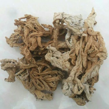 岩白菜产地直供支持线上交易可搭配多品种采购大货联系