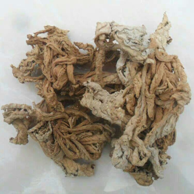 岩白菜产地直供支持线上交易可搭配多品种采购大货联系