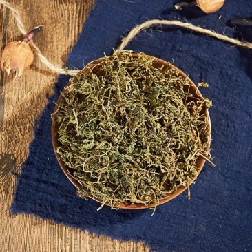鹅不食草正品鹅不食草粉段饿不吃草中药材农家初选