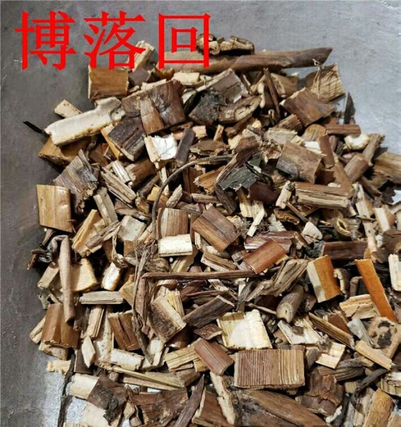 博落回杆产地直供支持线上交易可搭配多品种采购大货联系