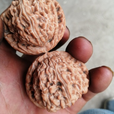 文玩核桃