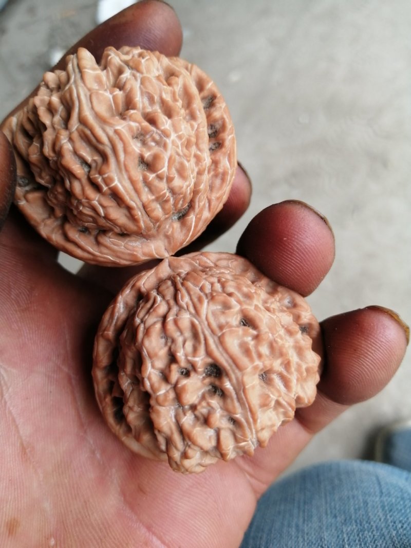 文玩核桃
