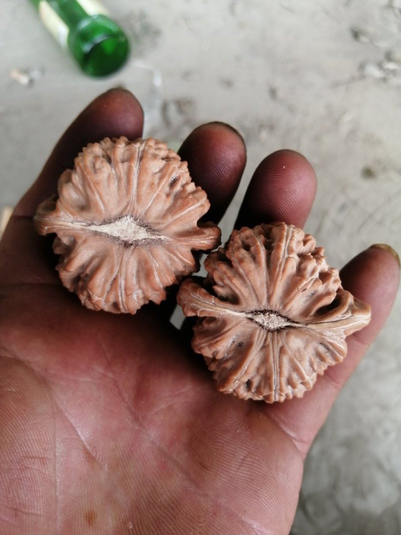 文玩核桃